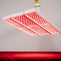 ApolloARC Red Light Device
